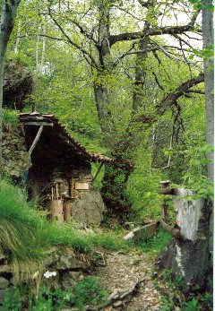 l'angolo di preghiera silenzioso, nel bosco