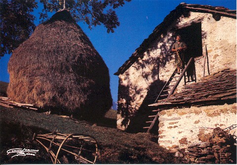 una cascina, accanto la meja-il covone del fieno (cartoline Bini)