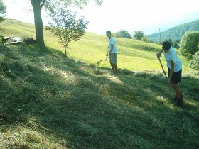 al lavoro nei campi