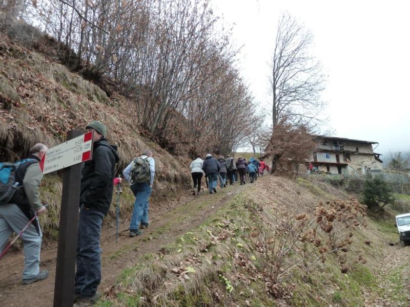 volontari al lavoro
